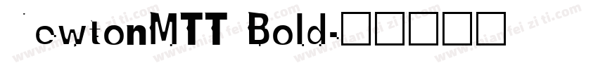 NewtonMTT Bold字体转换